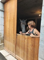 Les chevaux