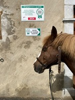 Equitation d'extérieur